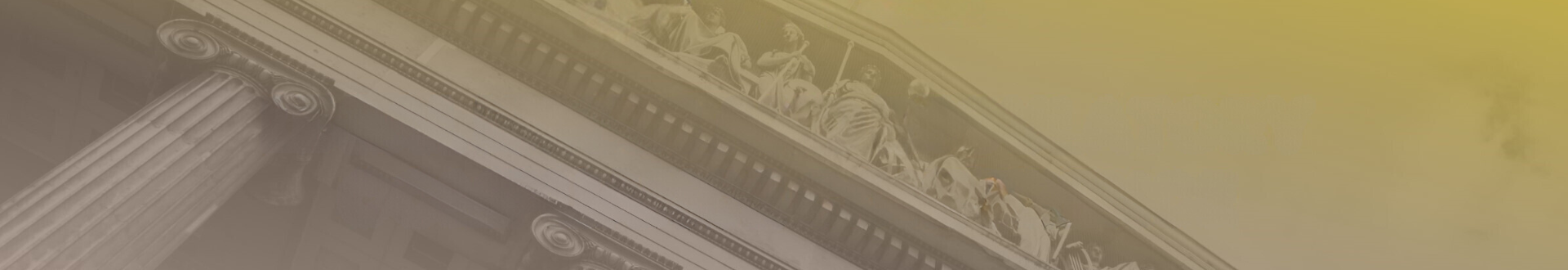 LIRC Blank Banner (1920 x 330).png