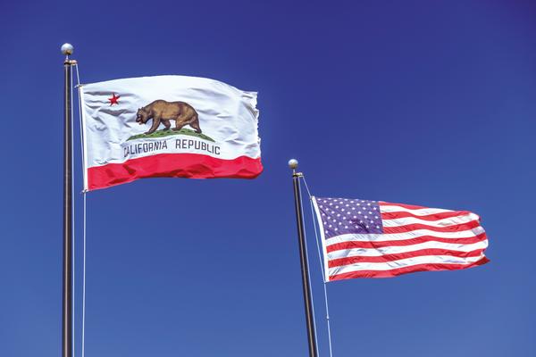 Leg Day - flags.png.jpg