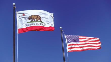 Leg Day - flags.png.jpg