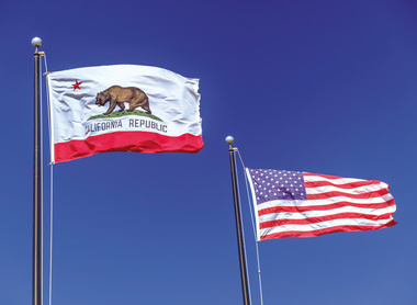 Leg Day - flags.png.jpg