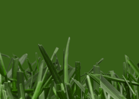 CAMPAC header - 1920x390.png